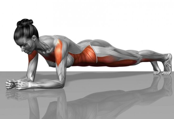 Patrón muscular